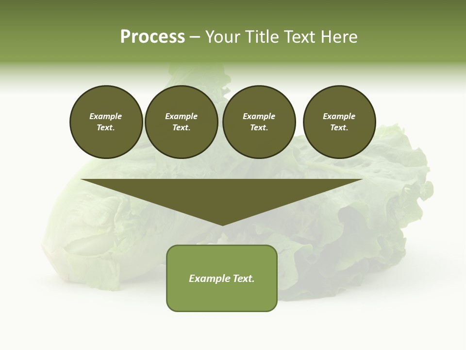 Chinese Lettuce In Isolated White Background PowerPoint Template