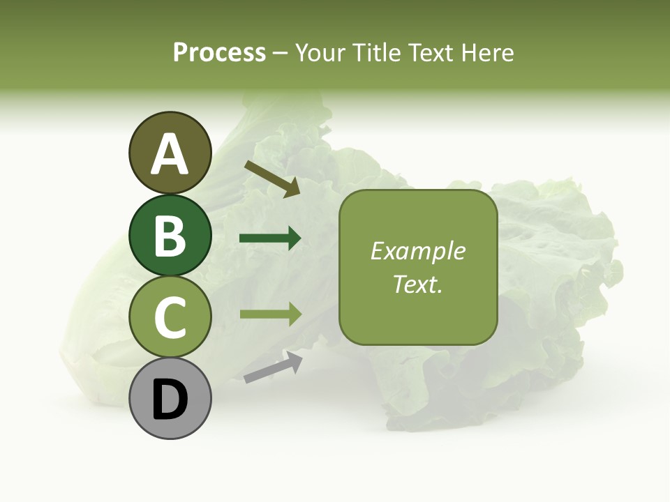 Chinese Lettuce In Isolated White Background PowerPoint Template
