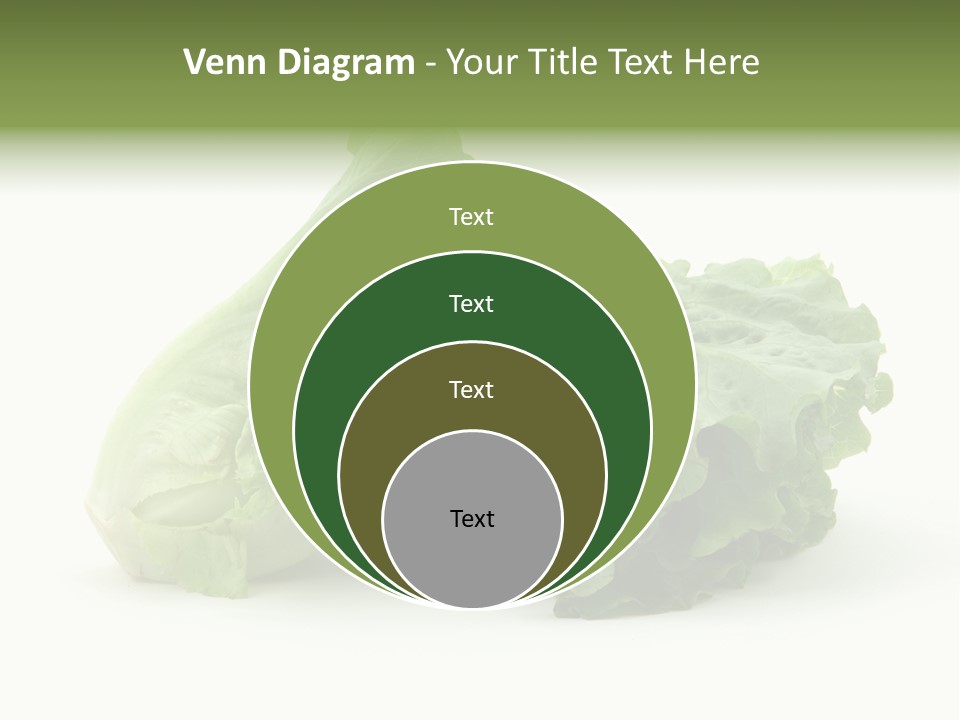 Chinese Lettuce In Isolated White Background PowerPoint Template