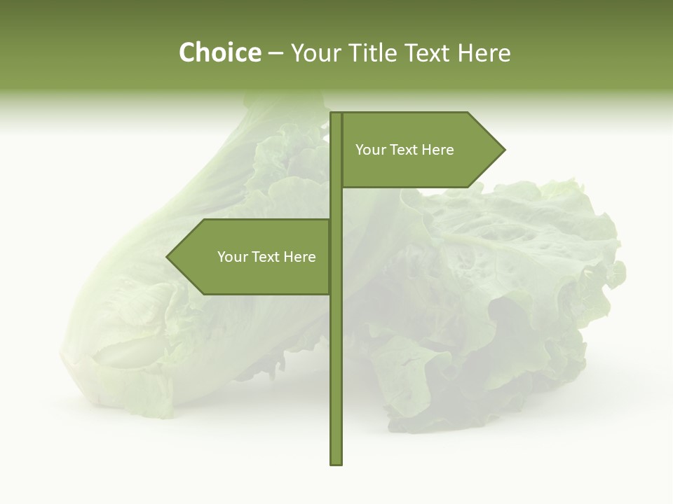 Chinese Lettuce In Isolated White Background PowerPoint Template