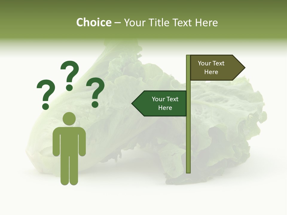 Chinese Lettuce In Isolated White Background PowerPoint Template