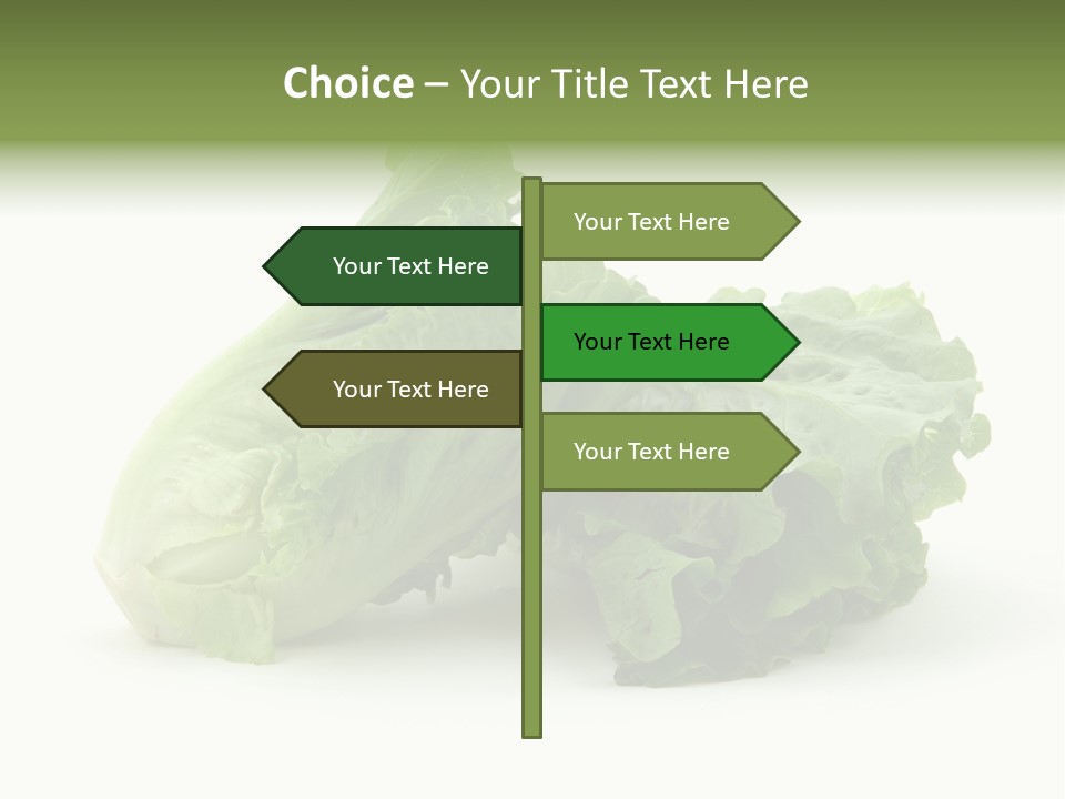 Chinese Lettuce In Isolated White Background PowerPoint Template