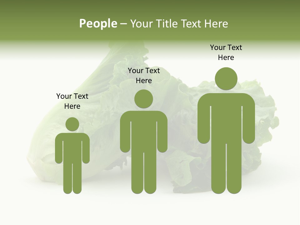 Chinese Lettuce In Isolated White Background PowerPoint Template