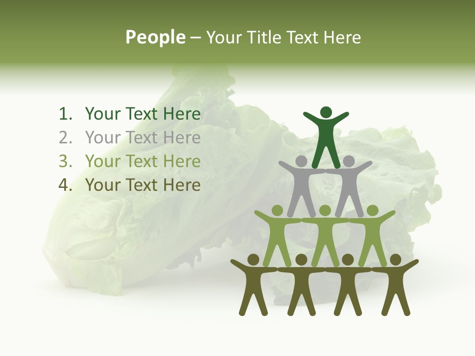 Chinese Lettuce In Isolated White Background PowerPoint Template