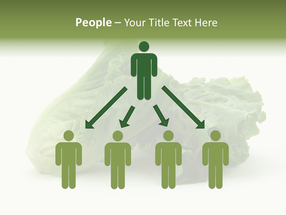 Chinese Lettuce In Isolated White Background PowerPoint Template