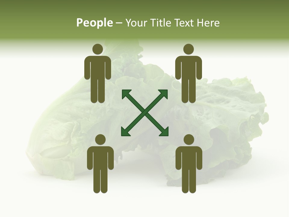 Chinese Lettuce In Isolated White Background PowerPoint Template
