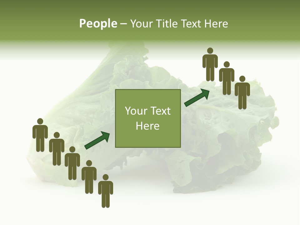 Chinese Lettuce In Isolated White Background PowerPoint Template