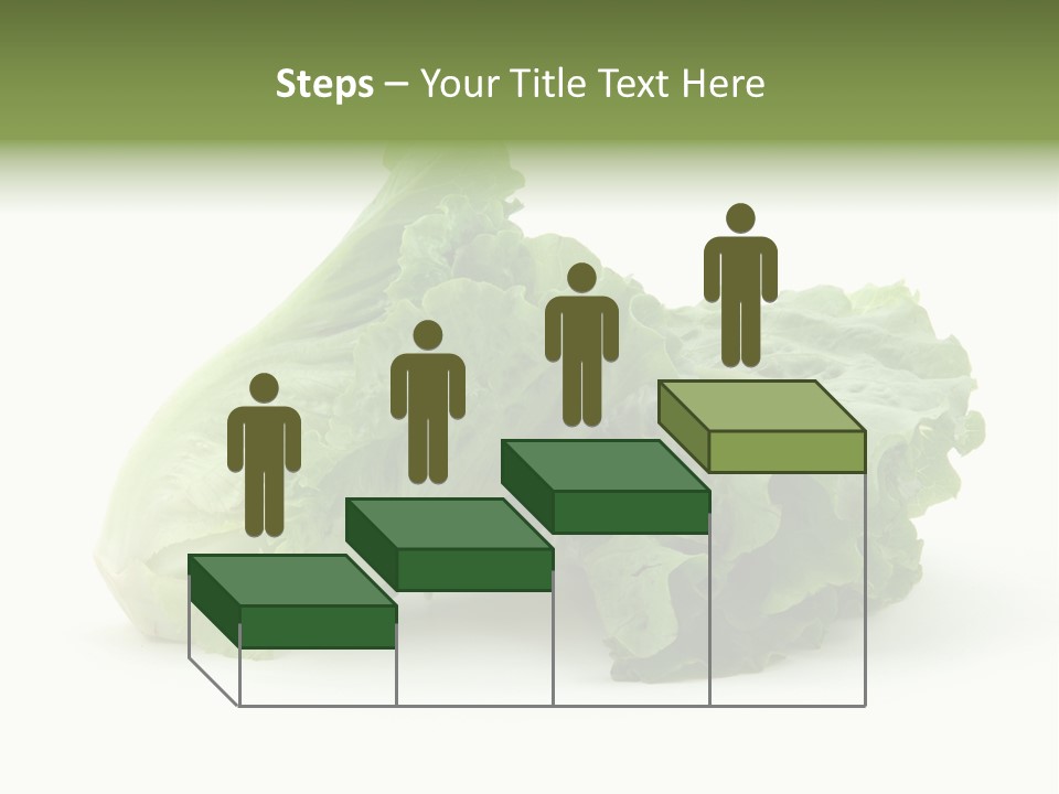 Chinese Lettuce In Isolated White Background PowerPoint Template