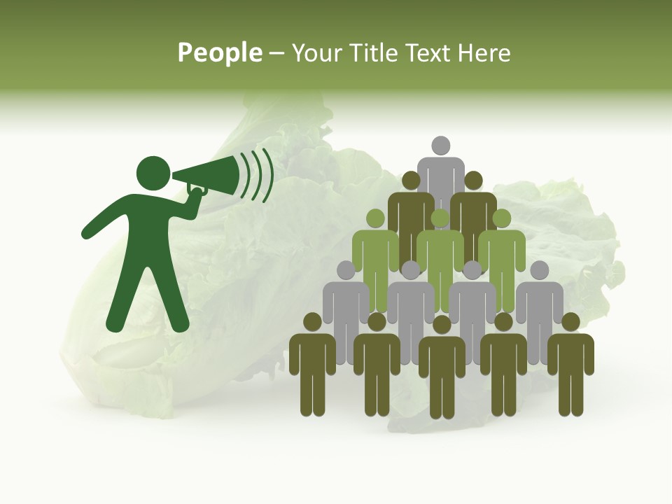Chinese Lettuce In Isolated White Background PowerPoint Template