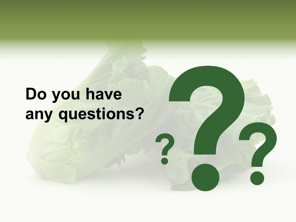 Chinese Lettuce In Isolated White Background PowerPoint Template