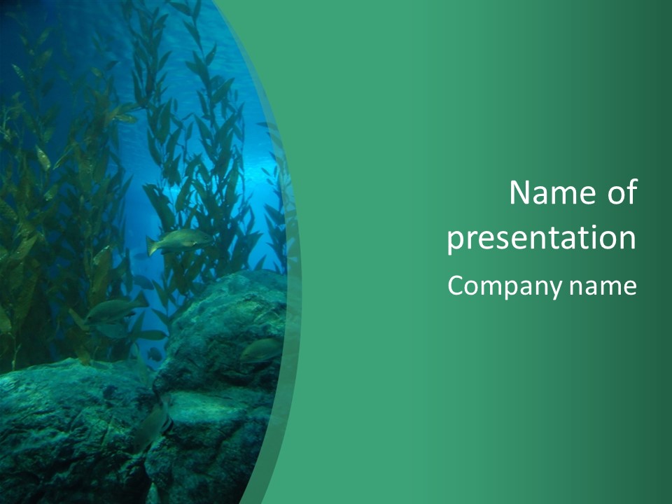 Algae Underwater PowerPoint Template