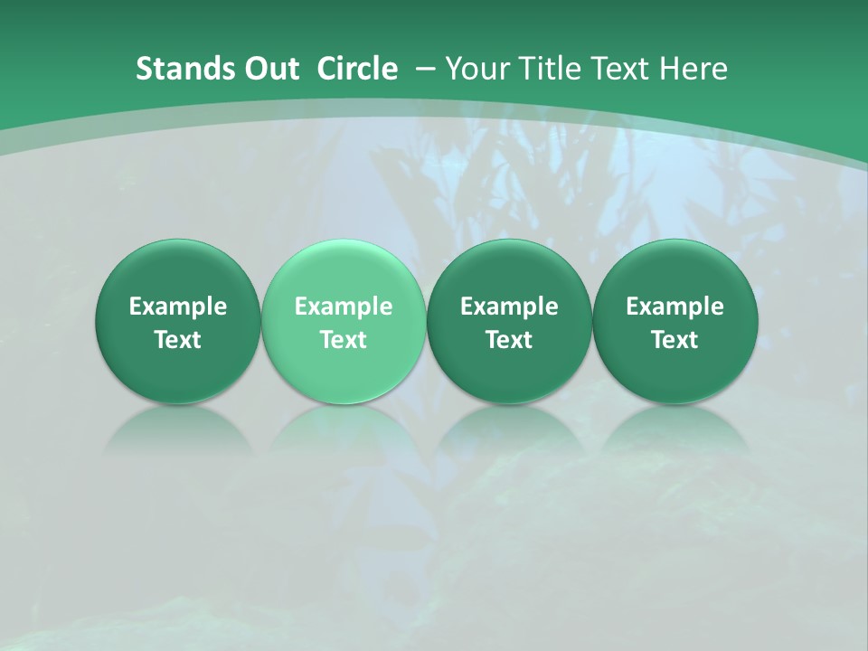 Algae Underwater PowerPoint Template