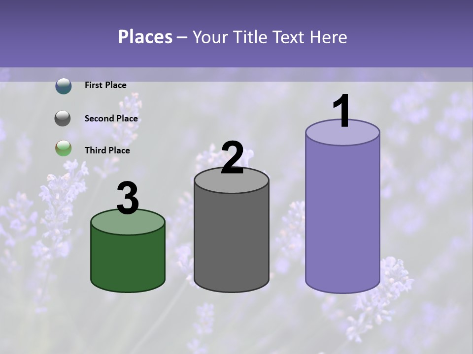 Lavender PowerPoint Template