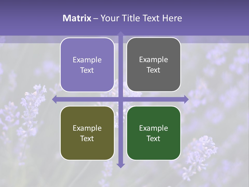 Lavender PowerPoint Template
