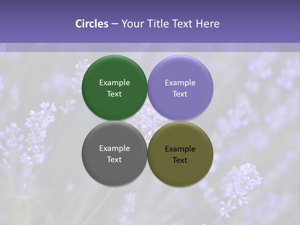Lavender PowerPoint Template