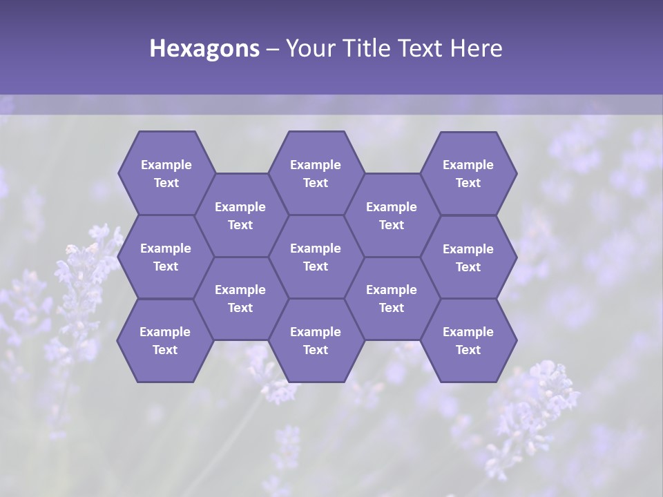 Lavender PowerPoint Template