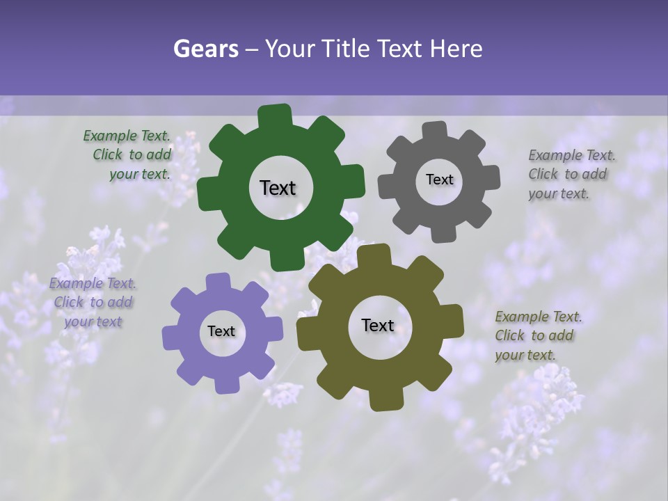 Lavender PowerPoint Template