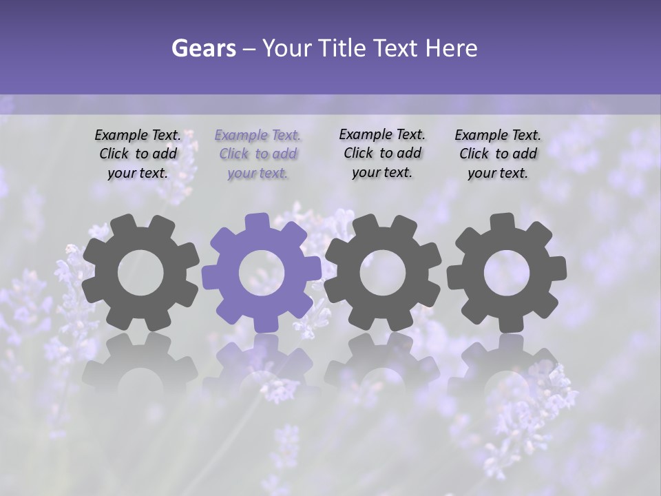 Lavender PowerPoint Template