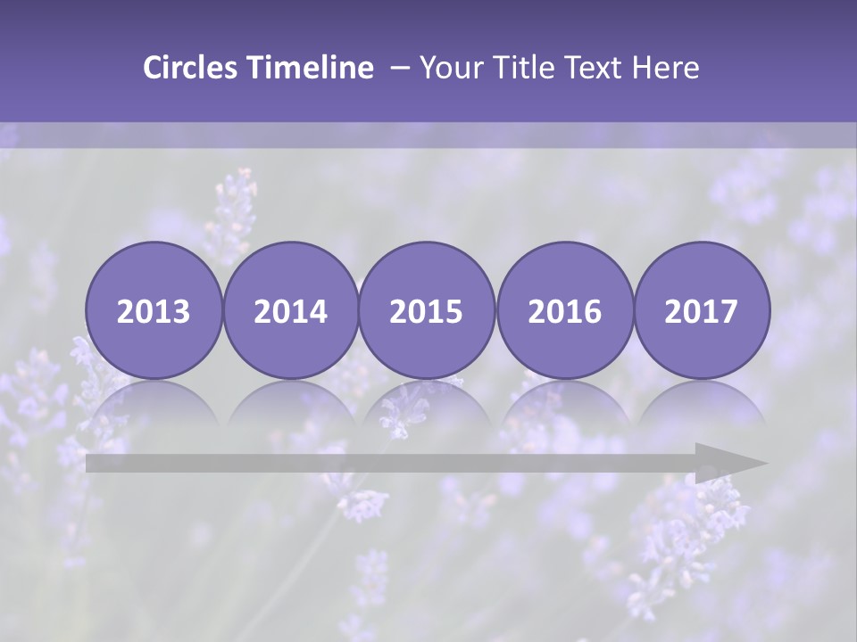 Lavender PowerPoint Template