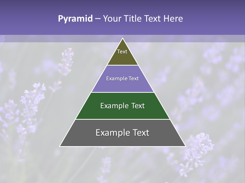 Lavender PowerPoint Template