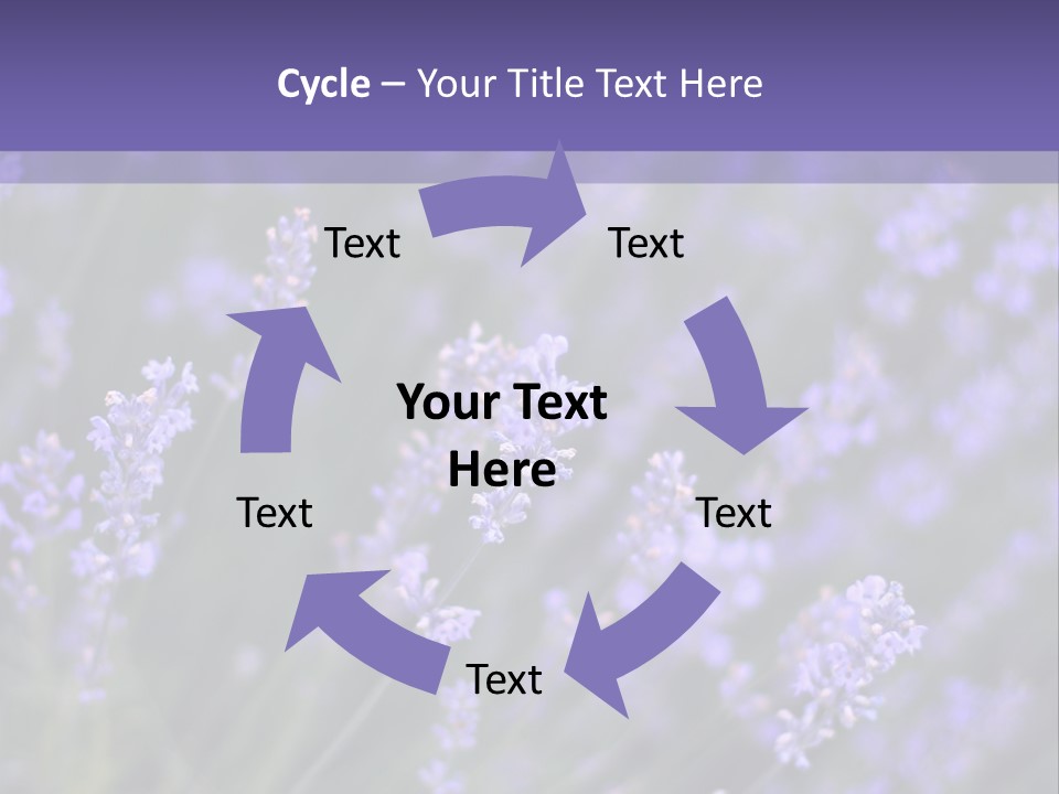 Lavender PowerPoint Template
