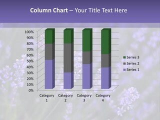 Lavender PowerPoint Template