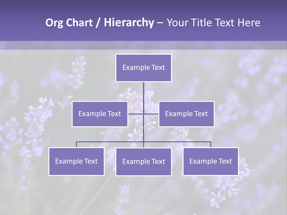 Lavender PowerPoint Template
