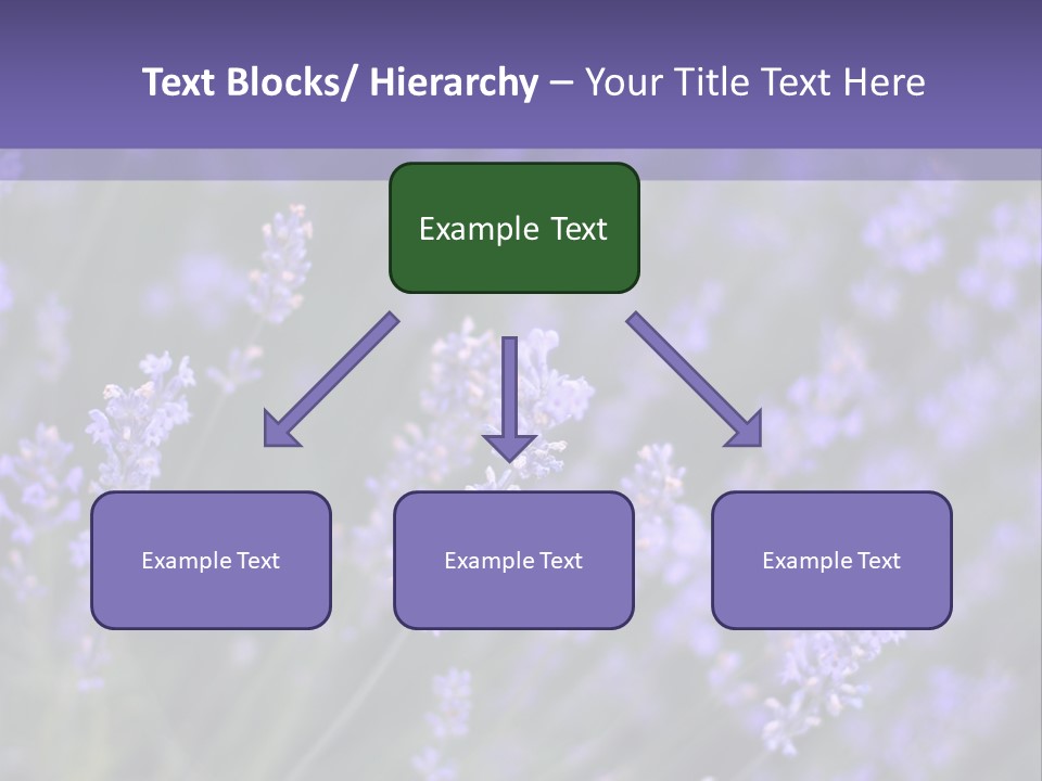 Lavender PowerPoint Template