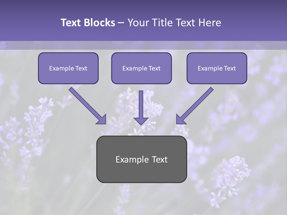 Lavender PowerPoint Template