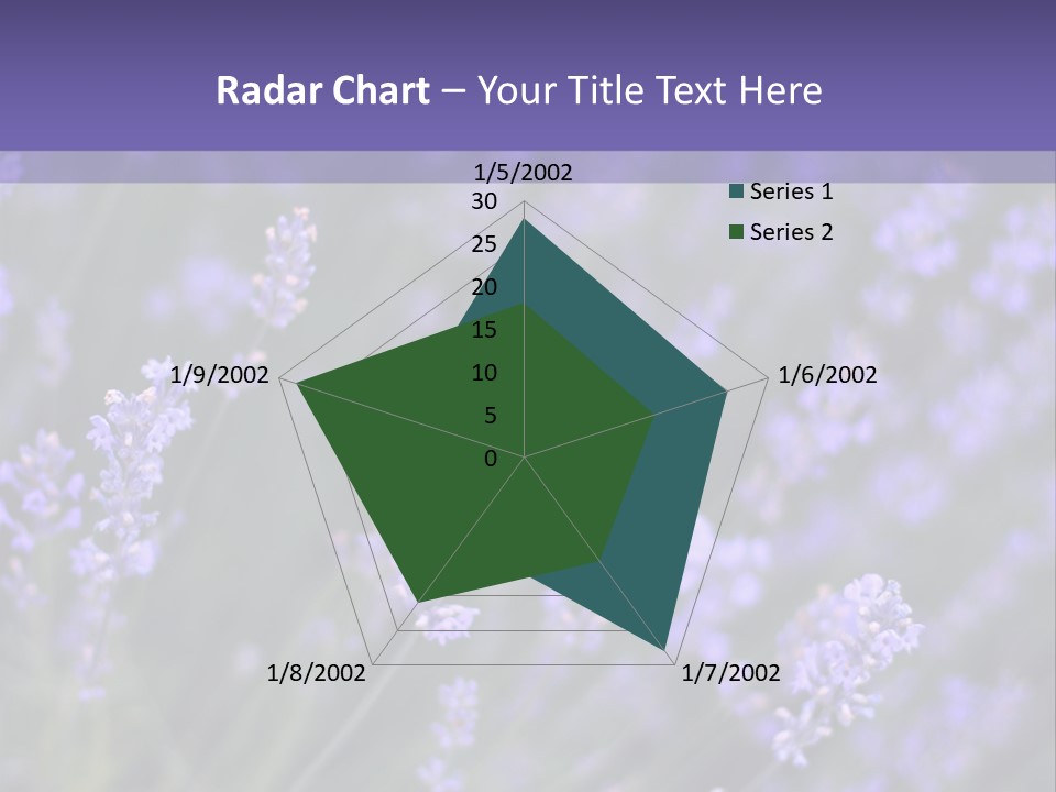 Lavender PowerPoint Template