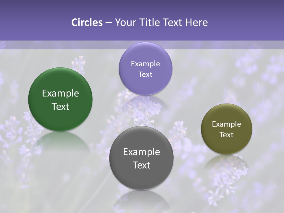 Lavender PowerPoint Template