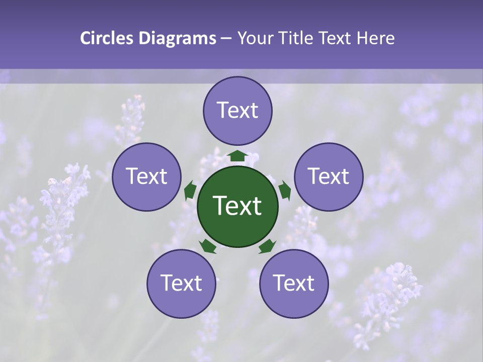 Lavender PowerPoint Template