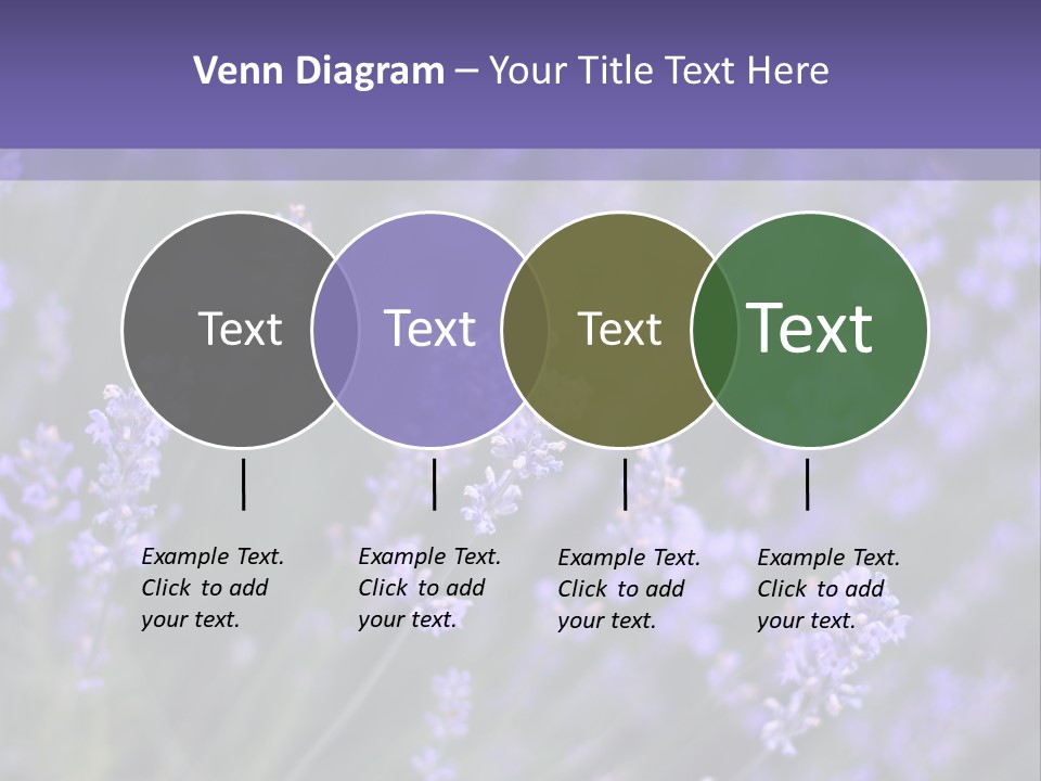Lavender PowerPoint Template