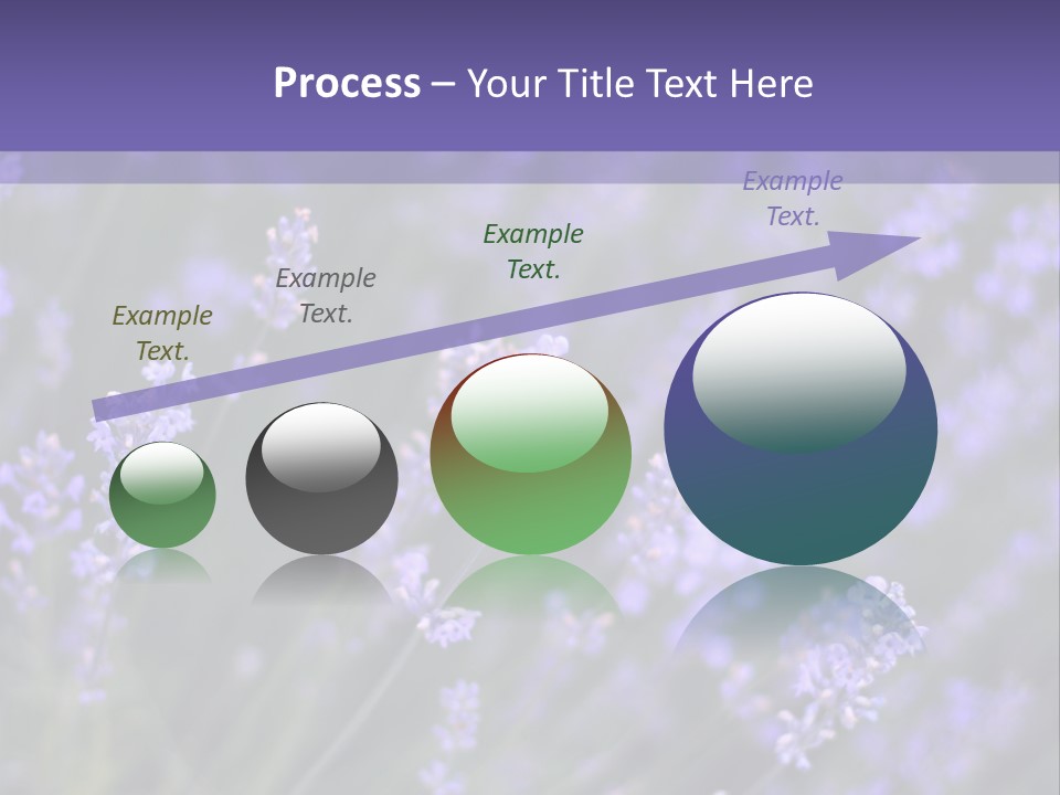 Lavender PowerPoint Template