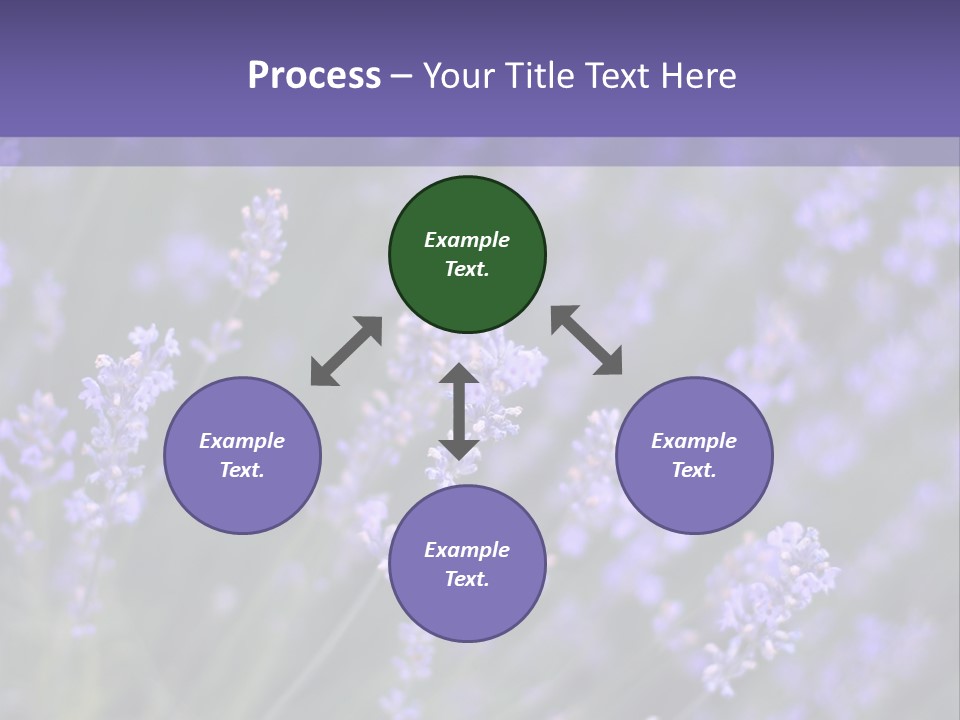 Lavender PowerPoint Template