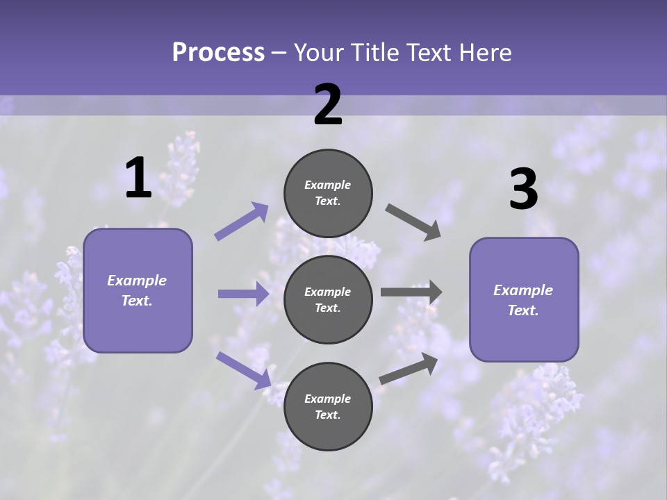 Lavender PowerPoint Template