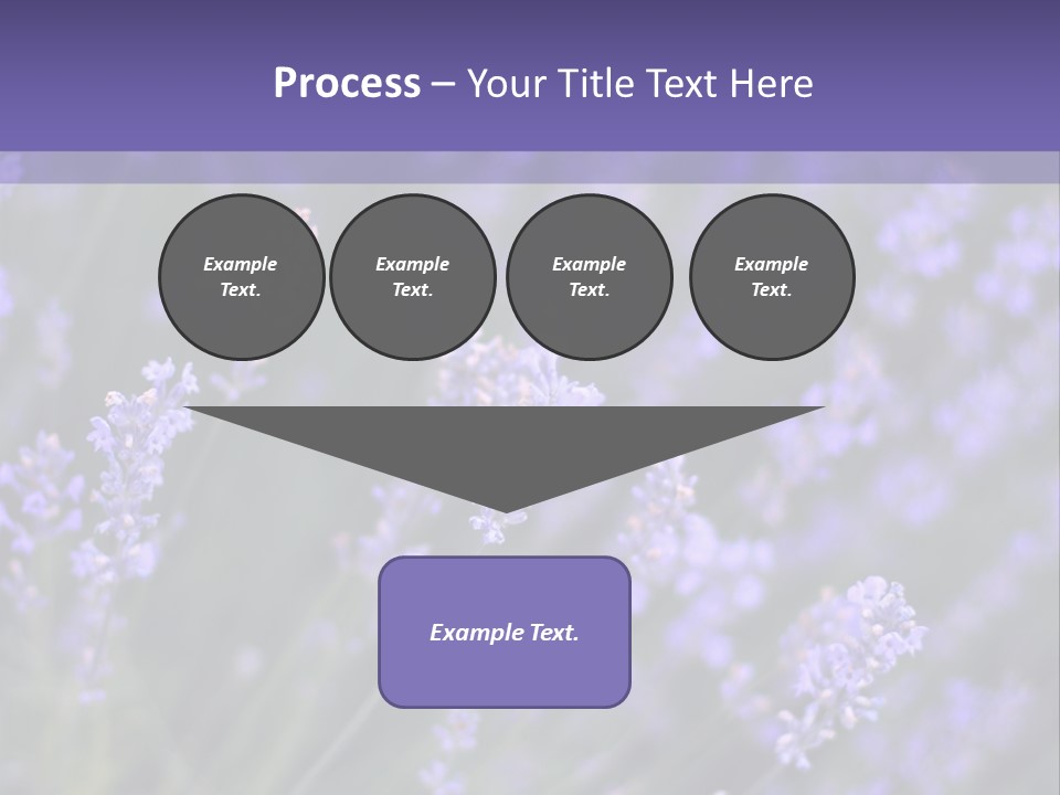 Lavender PowerPoint Template