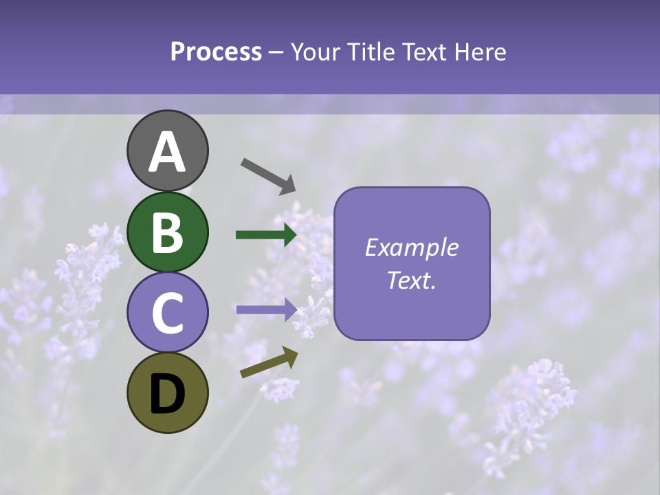 Lavender PowerPoint Template