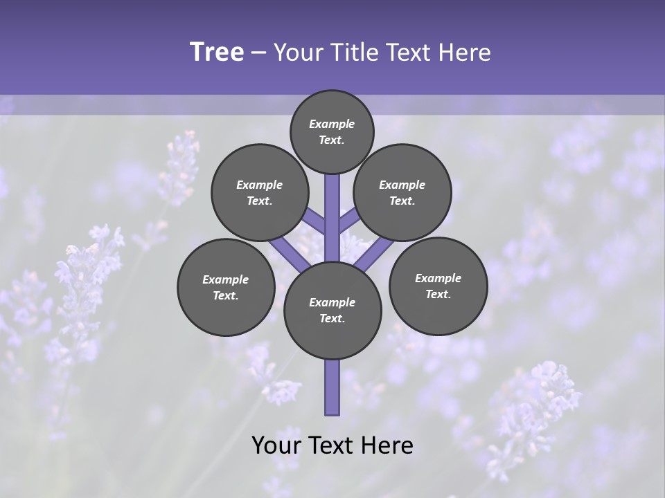 Lavender PowerPoint Template