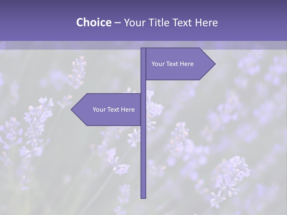 Lavender PowerPoint Template
