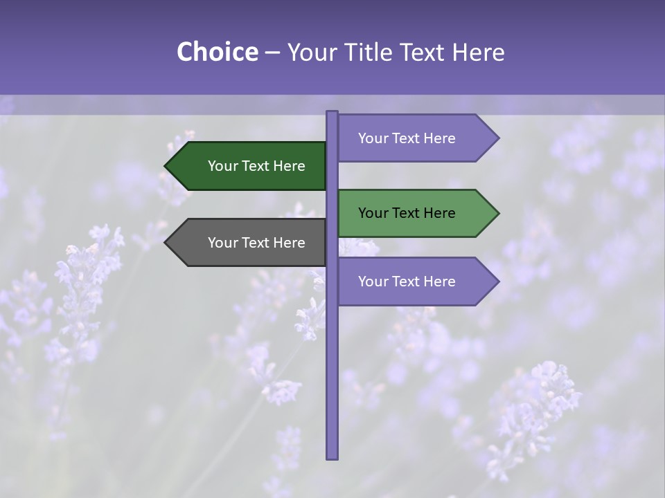 Lavender PowerPoint Template