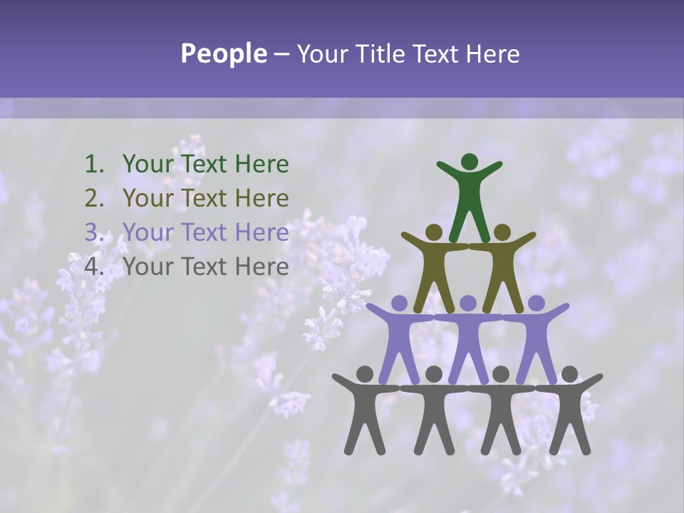 Lavender PowerPoint Template