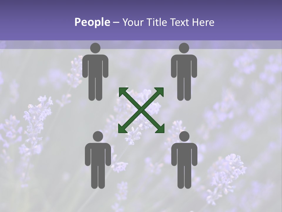 Lavender PowerPoint Template