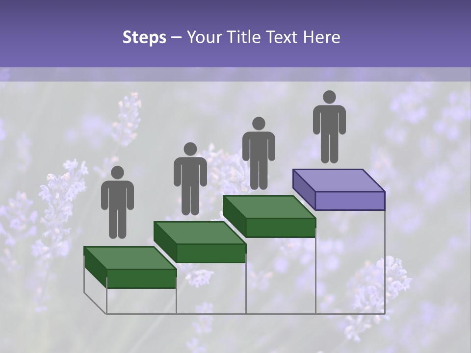 Lavender PowerPoint Template