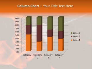 Marshmallow On A Stick Being Roasted Over A Camping Fire PowerPoint Template