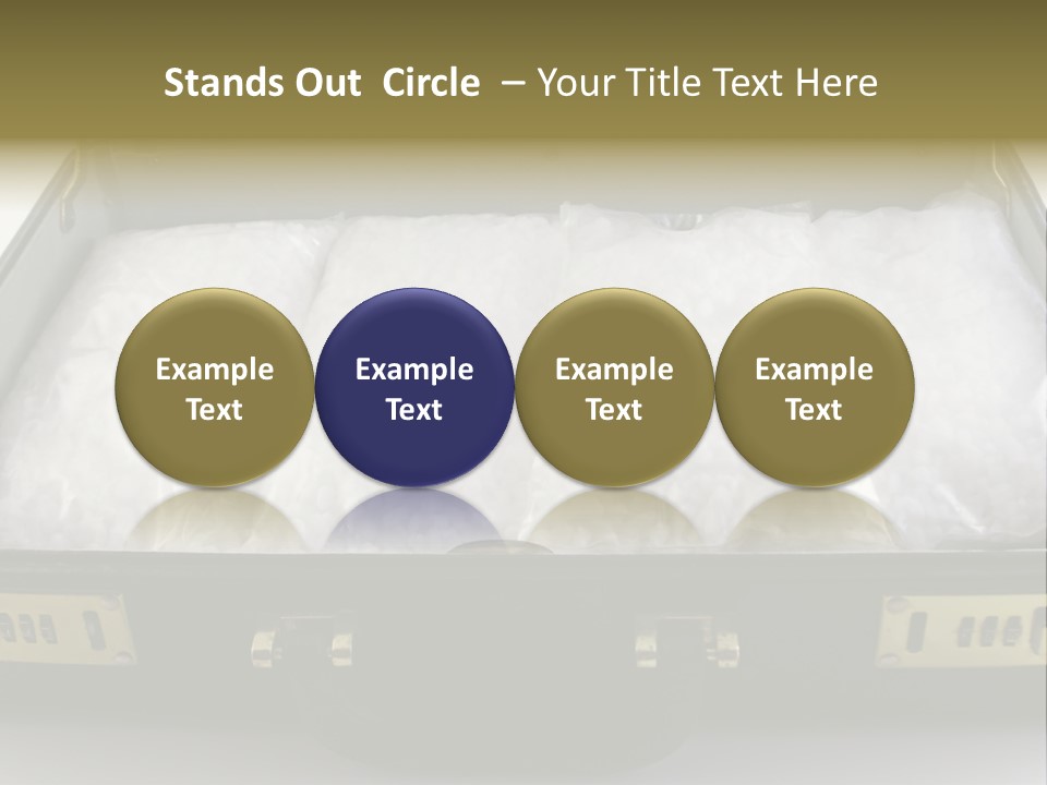 Packets Of Crack Cocaine In A Briefcase PowerPoint Template