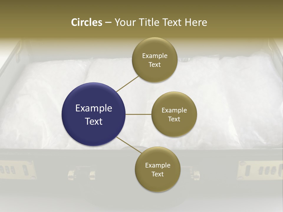 Packets Of Crack Cocaine In A Briefcase PowerPoint Template