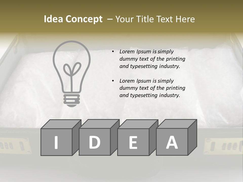 Packets Of Crack Cocaine In A Briefcase PowerPoint Template