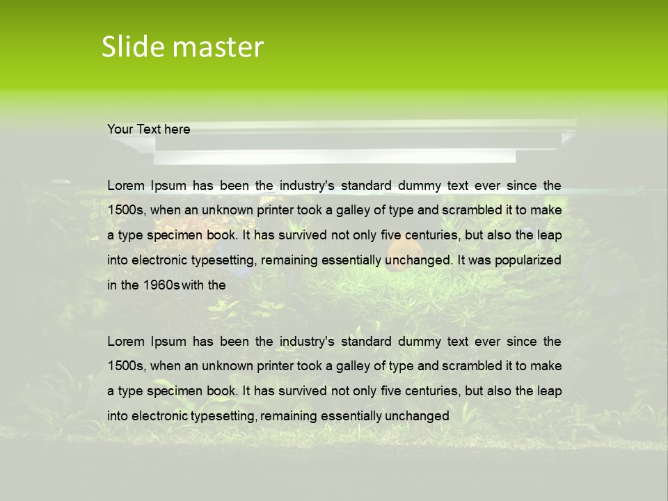 A Fish Tank Filled With Lots Of Green Plants PowerPoint Template