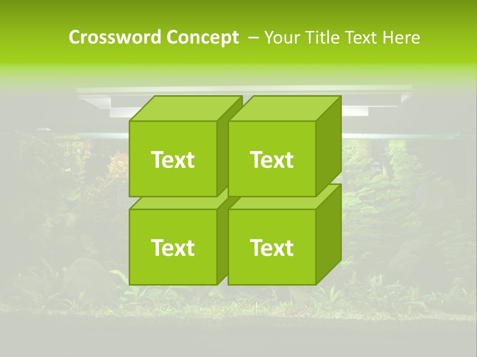 A Fish Tank Filled With Lots Of Green Plants PowerPoint Template